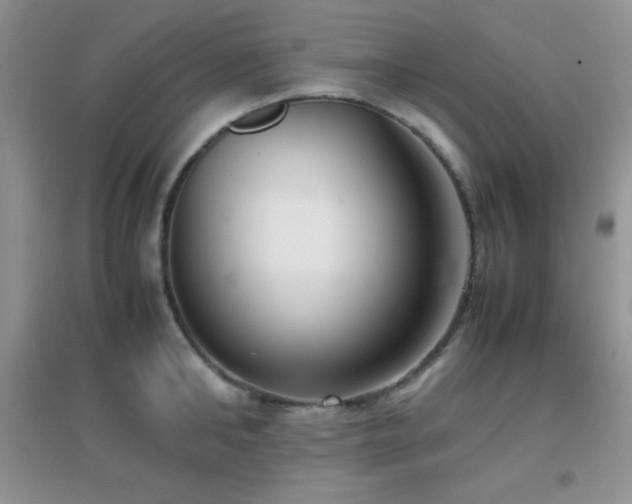 X0000097000902200802081441