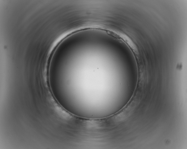 X0000097000904200802081441