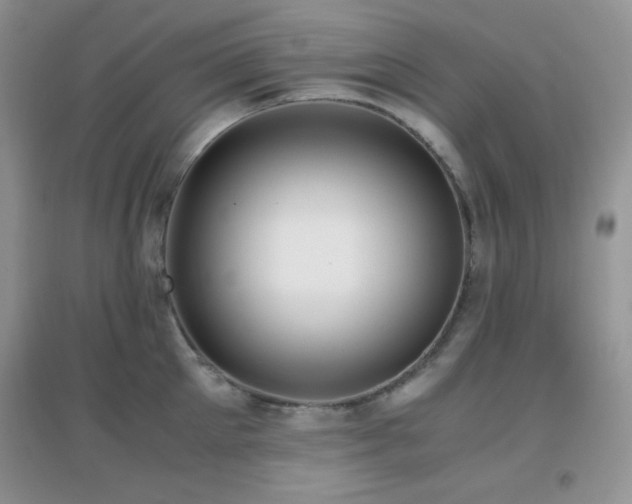 X0000097000905200802081441