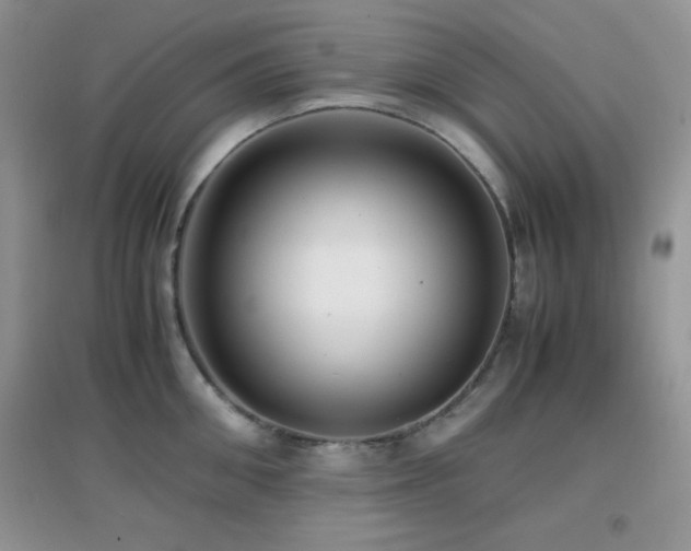 X0000097000906200802081441