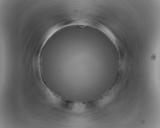 X0000097000907200802081441