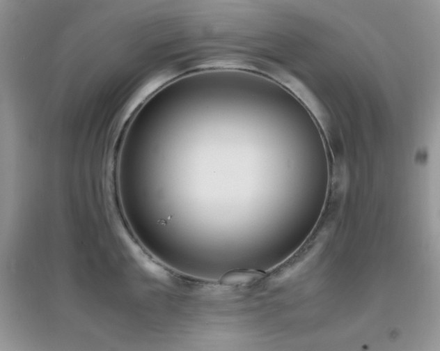 X0000097000909200802081441