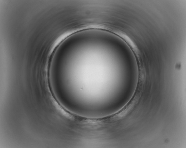 X0000097000910200802081441