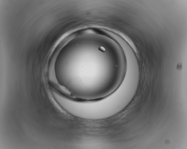 X0000097000911200802081441