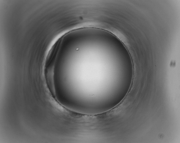 X0000097000912200802081441