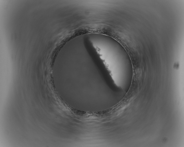 X0000097000913200802081440