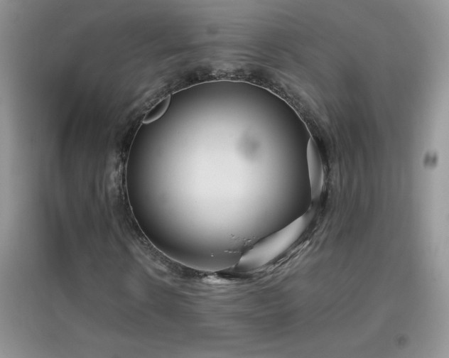 X0000097000914200802081440