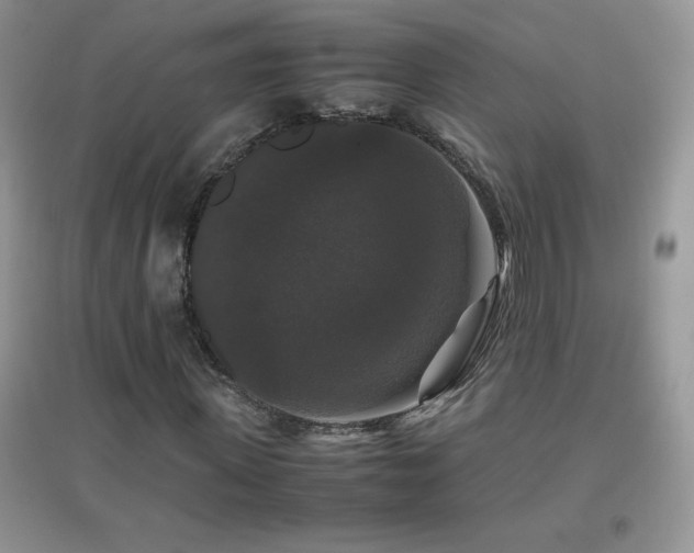 X0000097000915200802081440