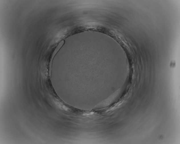 X0000097000916200802081440