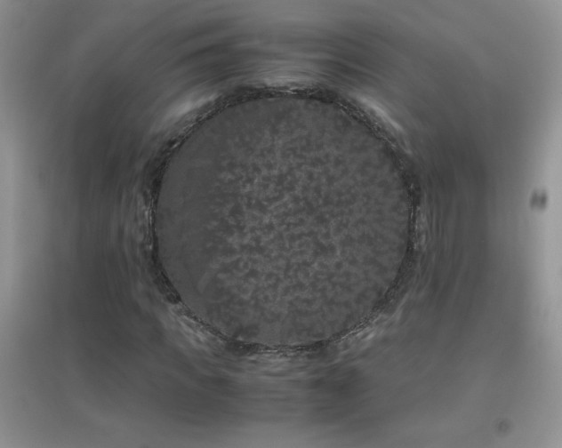 X0000097000917200802081440