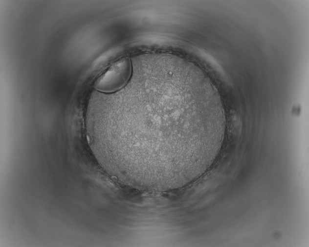 X0000097000918200802081440