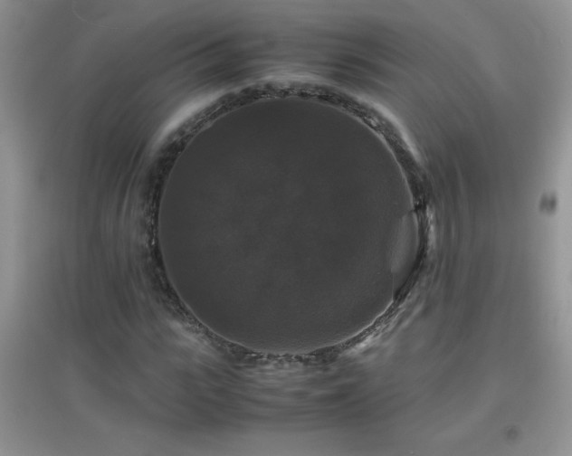 X0000097000919200802081440