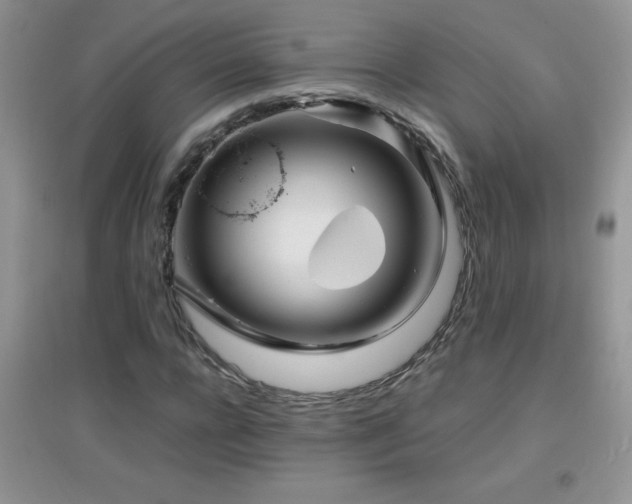 X0000097000920200802081440