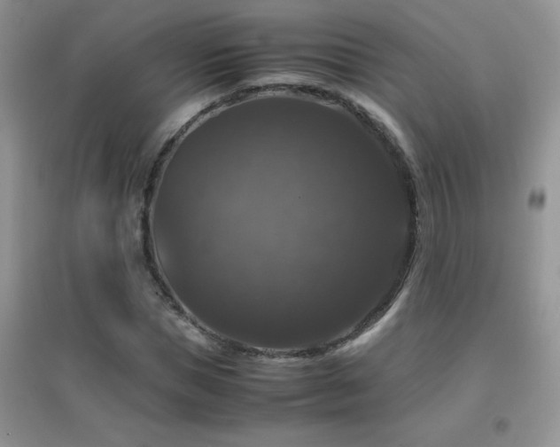 X0000097000921200802081440