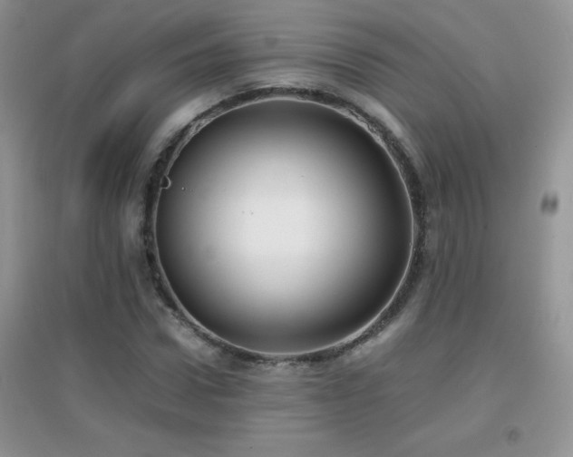 X0000097000922200802081440