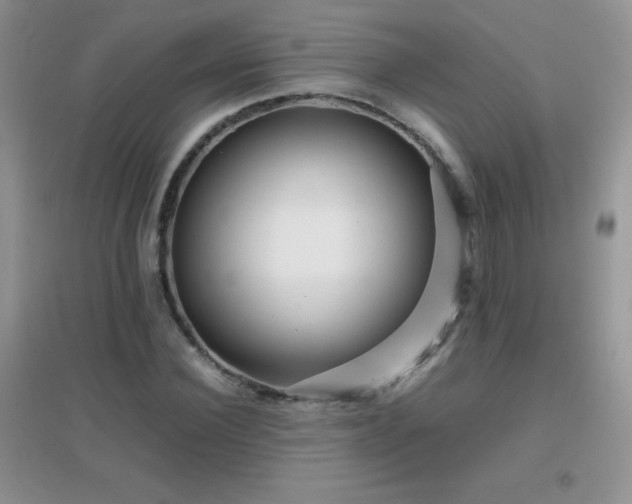 X0000097000924200802081440