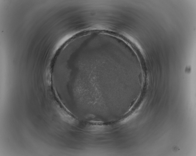 X0000097000925200802081440