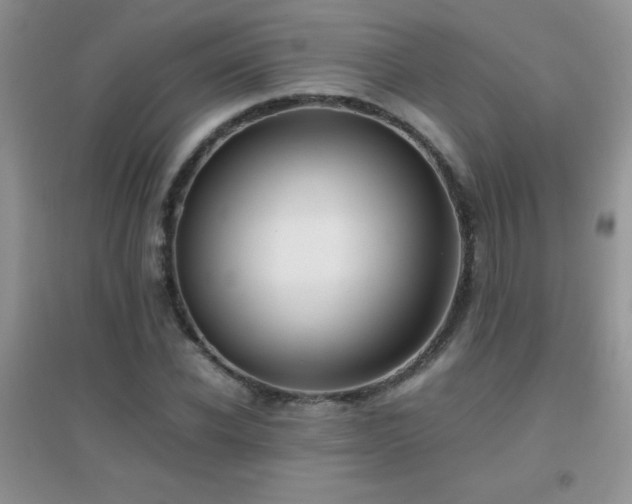 X0000097000926200802081440