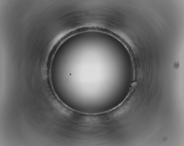 X0000097000927200802081440