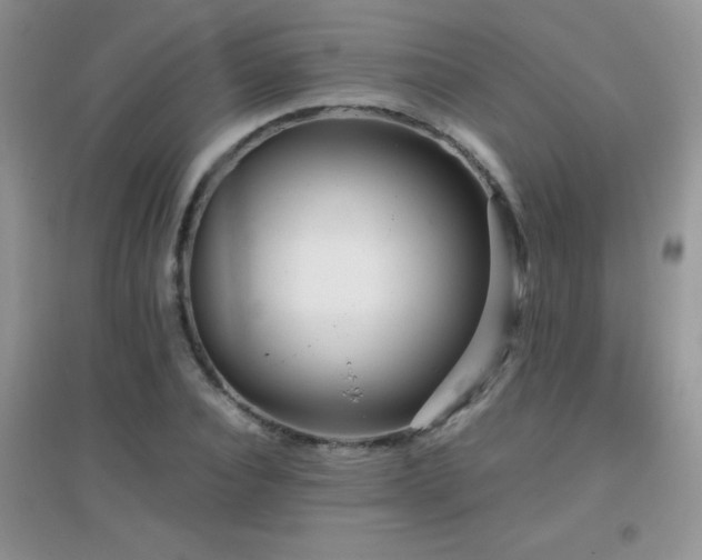 X0000097000928200802081440