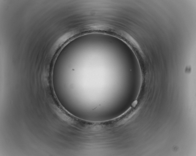 X0000097000930200802081441
