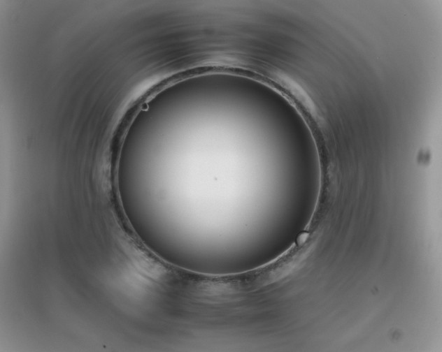 X0000097000931200802081441
