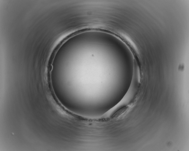 X0000097000932200802081441