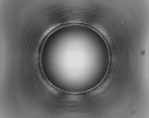 X0000097000933200802081441