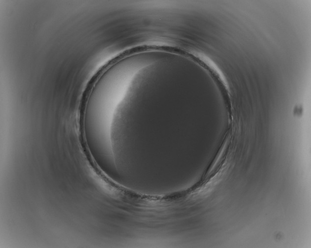 X0000097000935200802081441