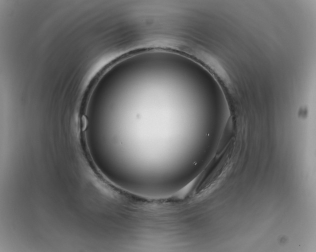 X0000097000936200802081441