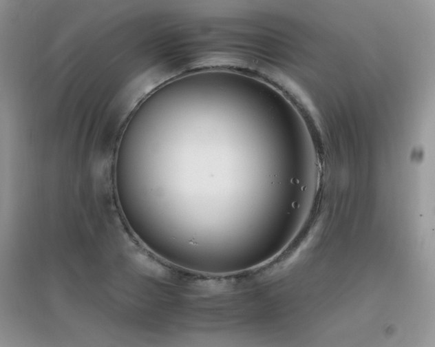 X0000097000937200802081441
