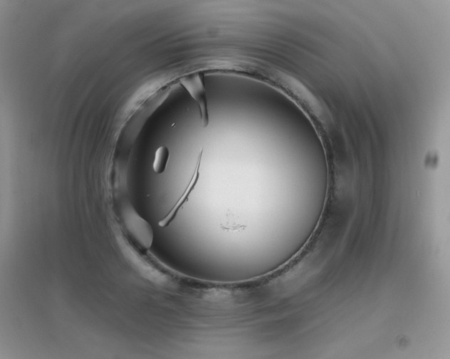 X0000097000938200802081441
