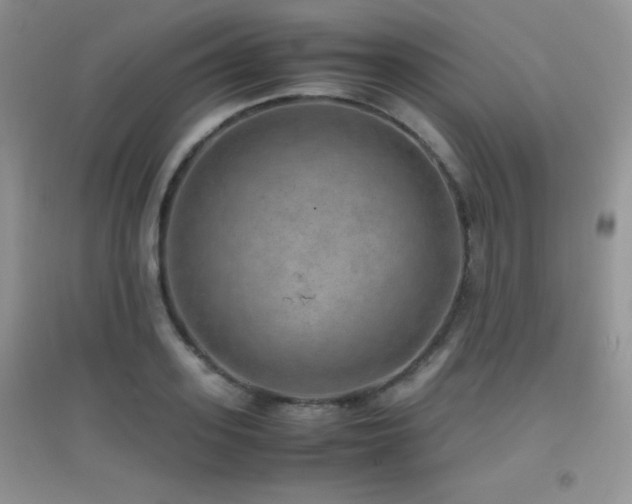 X0000097000939200802081441