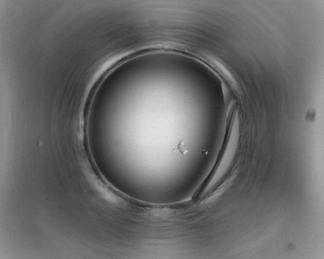 X0000097000940200802081441