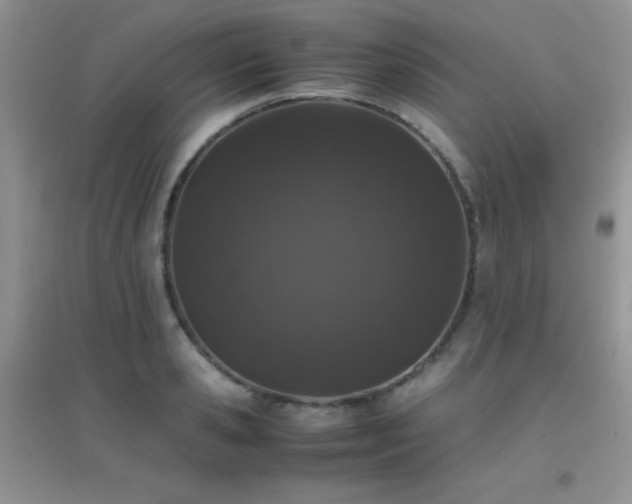 X0000097000941200802081441