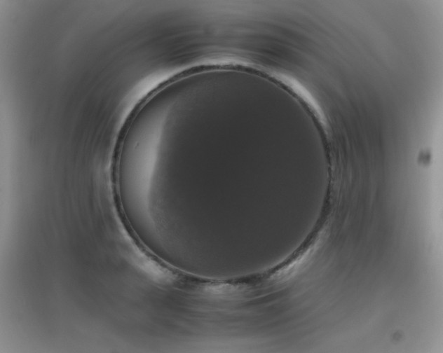 X0000097000943200802081441