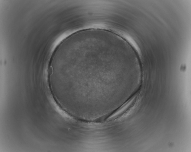 X0000097000944200802081441