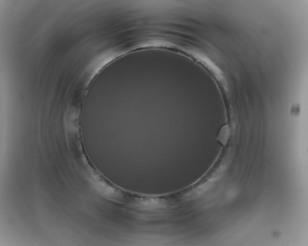 X0000097000945200802081441