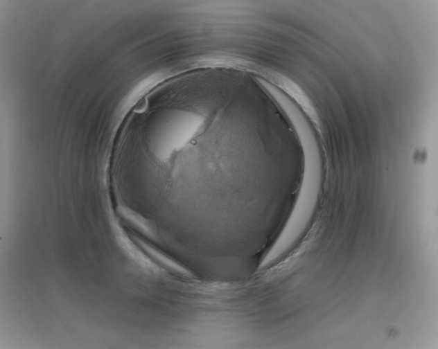 X0000097000946200802081441