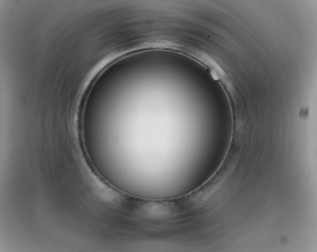 X0000097000947200802081441