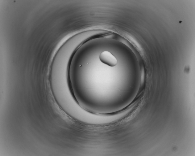 X0000097000948200802081441