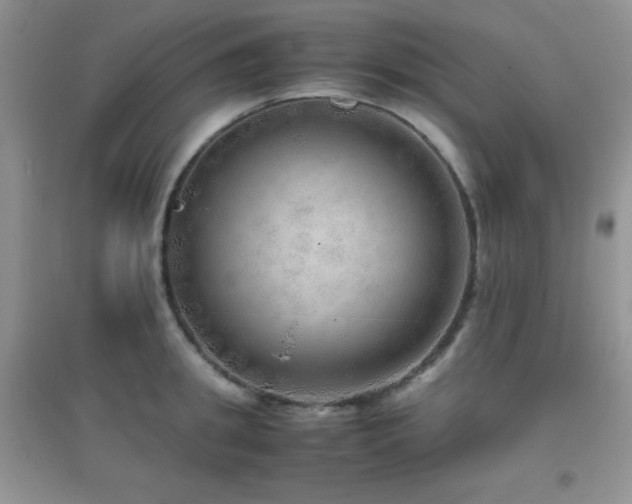 X0000097000949200802081441