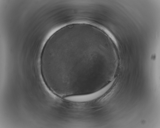 X0000097000951200802081441