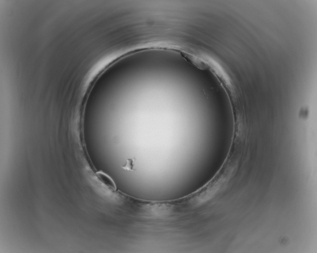 X0000097000952200802081441