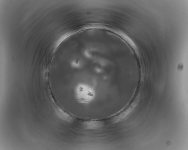 X0000097000953200802081441