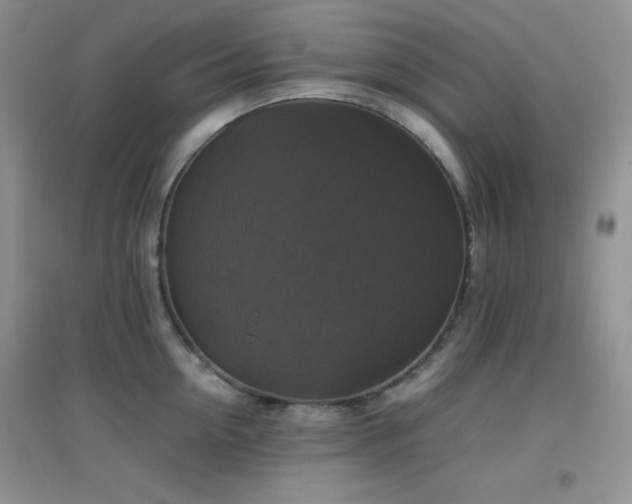 X0000097000954200802081441