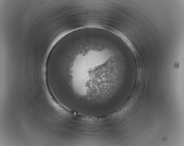 X0000097000955200802081441