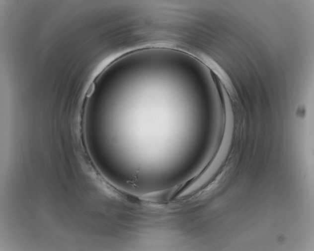 X0000097000956200802081441