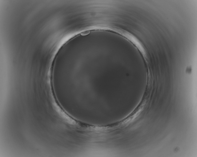 X0000097000958200802081441