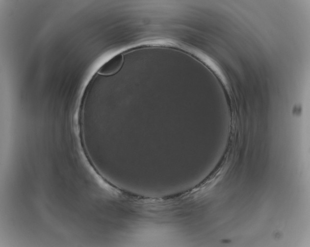 X0000097000959200802081441
